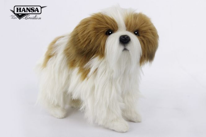 Hovedbilde HansaCreation hund Shihtzu
