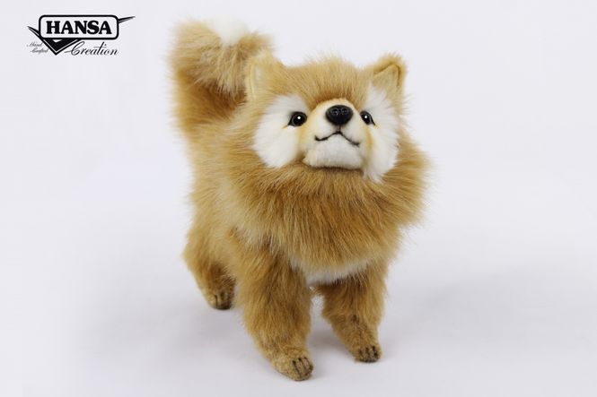 Hovedbilde HansaCreation hund Pomeranien