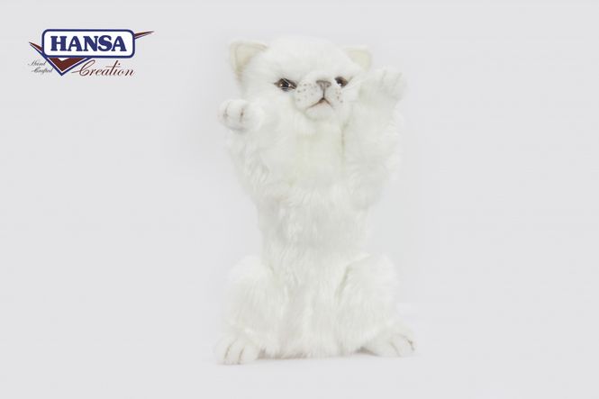 Hovedbilde HansaCreation Kattunge